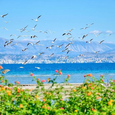Nikos Kalamaki Corfu Apraos Esterno foto